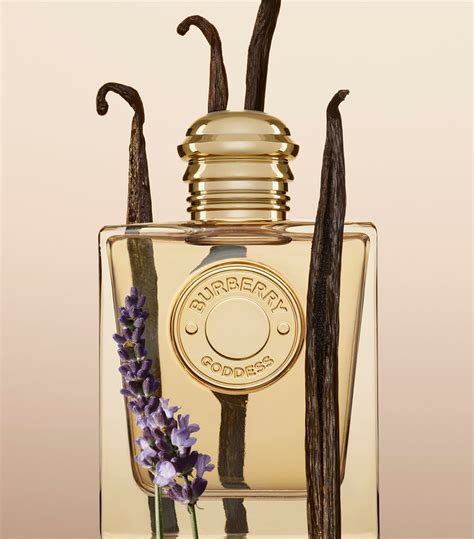 where to buy burberry goddess perfume|buy burberry perfume online.